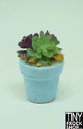 12" Fashion Doll Succulent Plants by Pam Maness - More Colors