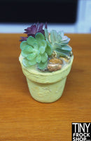 12" Fashion Doll Succulent Plants by Pam Maness - More Colors
