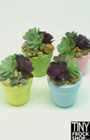 12" Fashion Doll Succulent Plants by Pam Maness - More Colors