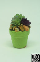 12" Fashion Doll Succulent Plants by Pam Maness - More Colors