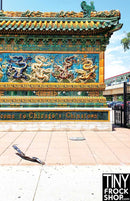 A-012 Chicago Chinatown Photography Backdrop - Wide - TinyFrockShop.com
