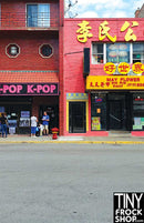 A-025 K-POP Photography Backdrop - Wide - TinyFrockShop.com