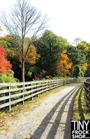 A-239(W) 12" Fashion Doll Photography Background -Standard - Fall Fever Lane