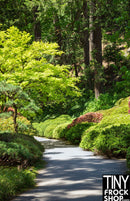 A-373-J 12" Fashion Doll Photography Backdrop - Standard - Luscious Path - Tiny Frock Shop