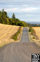 A-382-J 12" Fashion Doll Photography Backdrop - Wide - Farmer's Field