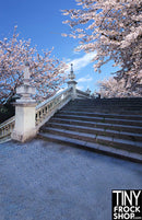 CM-0089 Photography Backdrop - Standard - Parkway Stairs - TinyFrockShop.com
