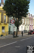 A-004 Parisian Photography Backdrop - Wide - TinyFrockShop.com