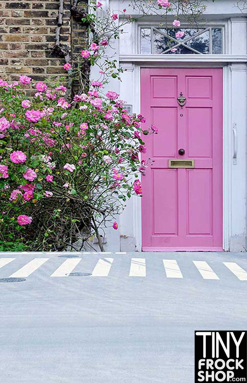S-3068 Barbie Photography Backdrop - Wide - Pink Door - TinyFrockShop.com