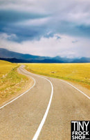 S-640 Photography Background - Down The Road - TinyFrockShop.com