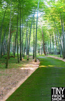 S-659 Photography Background - Forest View - TinyFrockShop.com