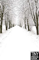 ST-585 Barbie Photography Background - Standard - Winter Roadway - TinyFrockShop.com